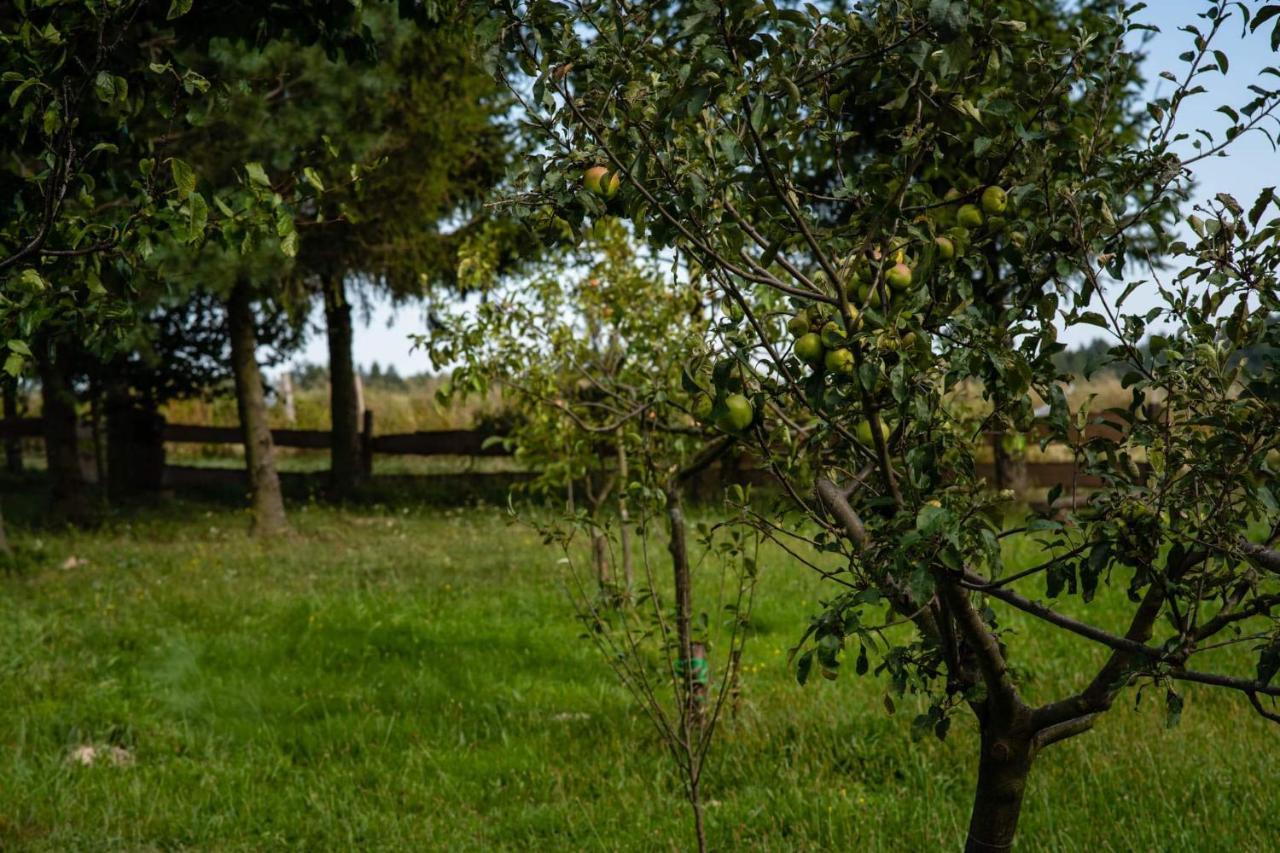 Agroturystyka U Julii Villa Helusz Exterior photo